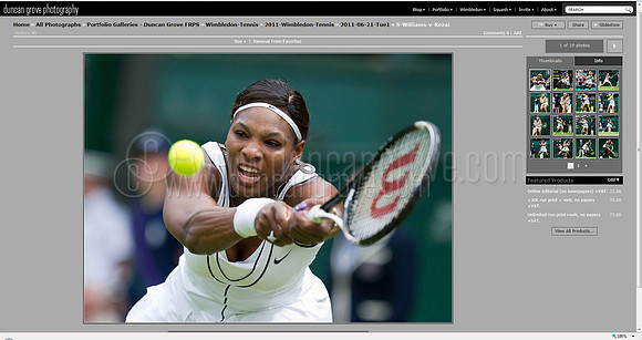 DG web site visitor view