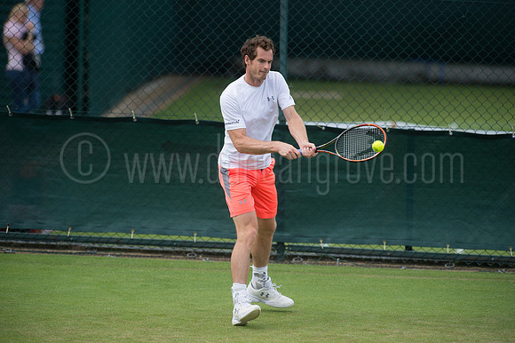 Wimbledon Tennis 28.06.2015.