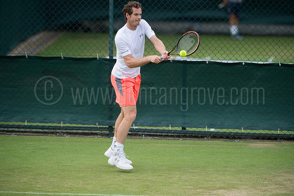 Wimbledon Tennis 28.06.2015.