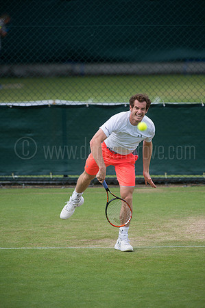 Wimbledon Tennis 28.06.2015.