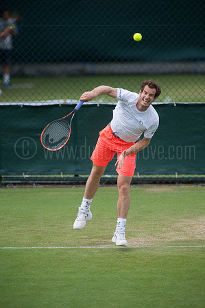 Wimbledon Tennis 28.06.2015.
