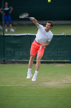 Wimbledon Tennis 28.06.2015.