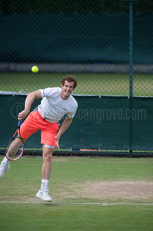 Wimbledon Tennis 28.06.2015.