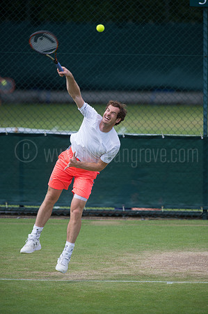 Wimbledon Tennis 28.06.2015.