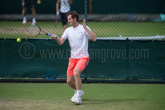 Wimbledon Tennis 28.06.2015.