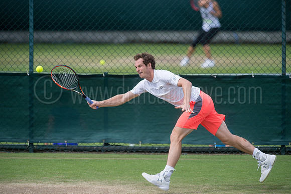 Wimbledon Tennis 28.06.2015.