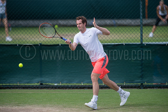 Wimbledon Tennis 28.06.2015.
