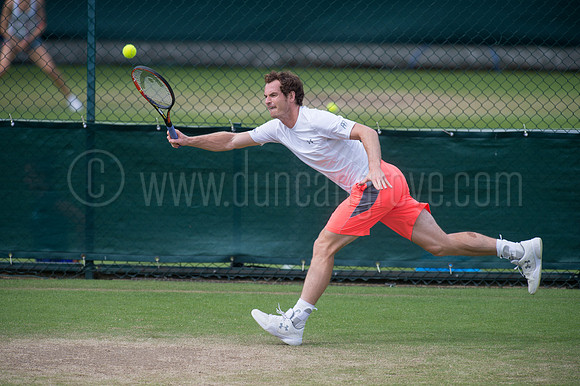 Wimbledon Tennis 28.06.2015.