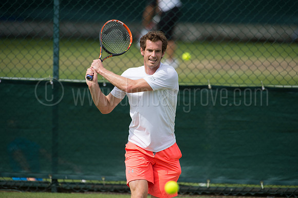 Wimbledon Tennis 28.06.2015.