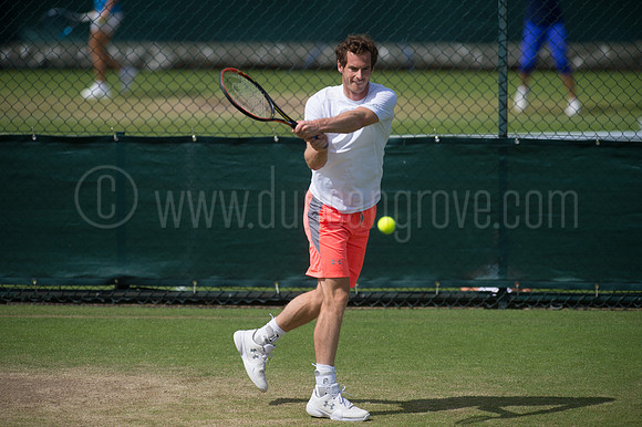 Wimbledon Tennis 28.06.2015.
