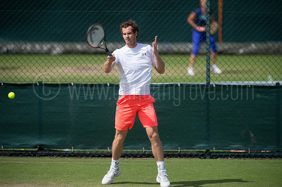 Wimbledon Tennis 28.06.2015.