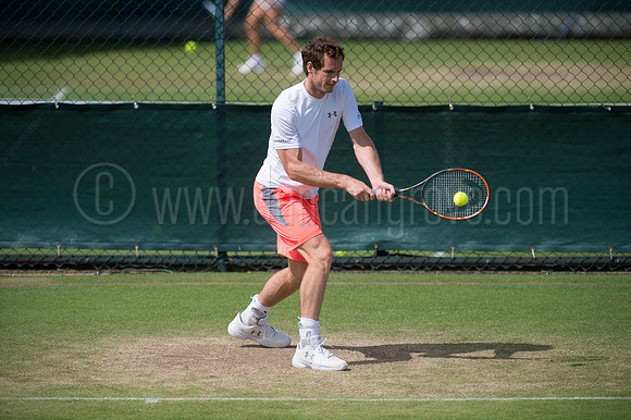 Wimbledon Tennis 28.06.2015.