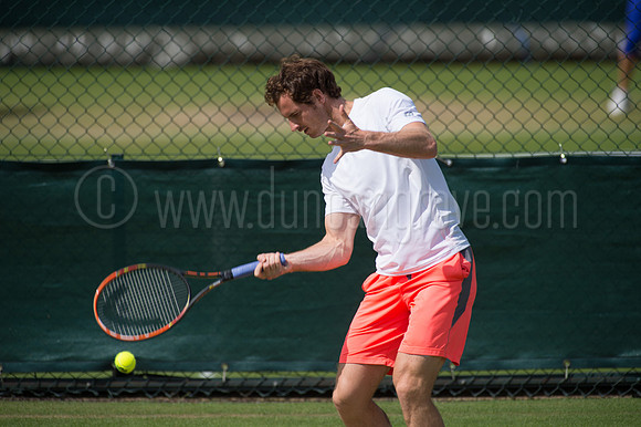 Wimbledon Tennis 28.06.2015.