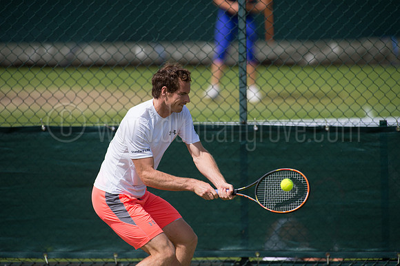 Wimbledon Tennis 28.06.2015.