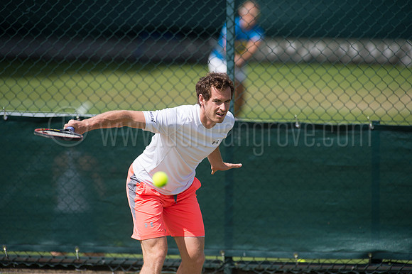 Wimbledon Tennis 28.06.2015.