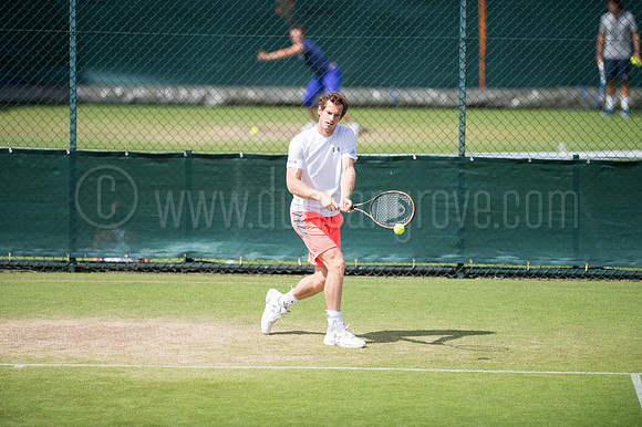 Wimbledon Tennis 28.06.2015.