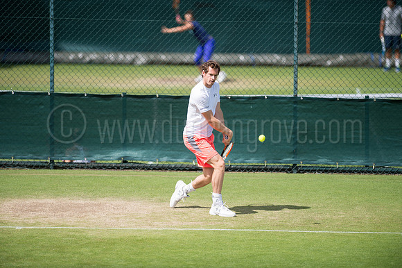 Wimbledon Tennis 28.06.2015.