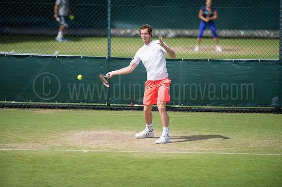 Wimbledon Tennis 28.06.2015.