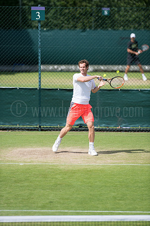 Wimbledon Tennis 28.06.2015.