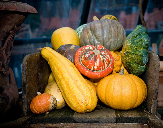 Veg in a barrow.