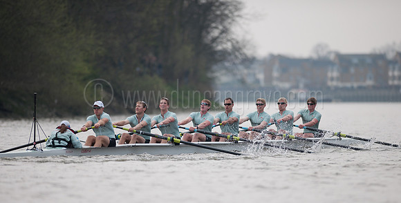 _DSC7800