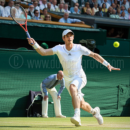 Wimbledon Tennis 07.07.2013 Day 13 2nd Sunday