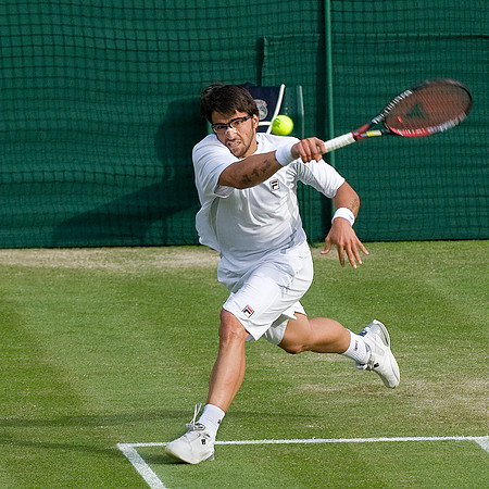 Tipsarevic #2.