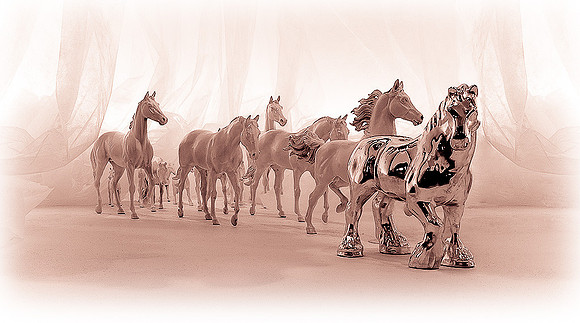 2-Equine fanatasy2 duo_D Grove-19