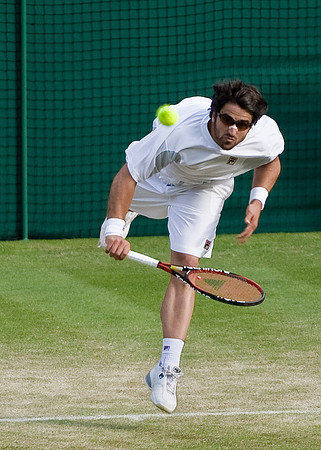 Tipsarevic #1.