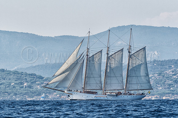 _D5B9046-Edit