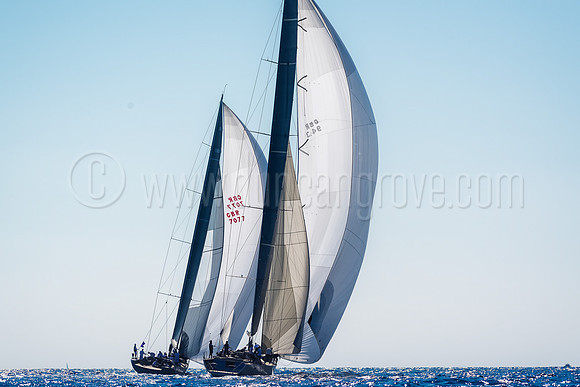 _D5B8460-Edit