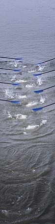 _D417476 BLADES1 Client selection