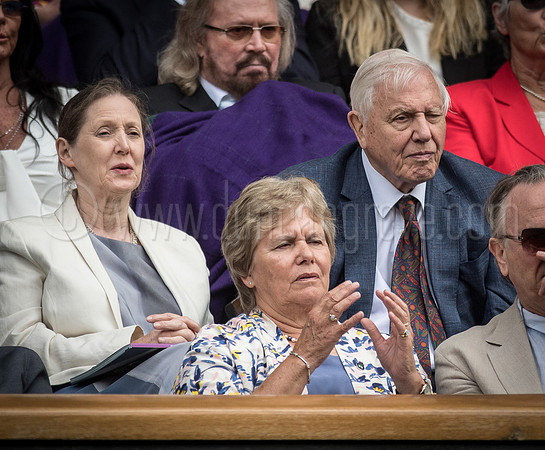 Wimbledon Tennis 14/07/2017.