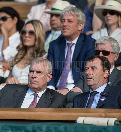 Wimbledon Tennis 08/07/2016.