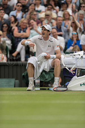 Wimbledon Tennis 02/07/2016.