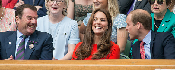 Wimbledon Tennis 08.07.2015.