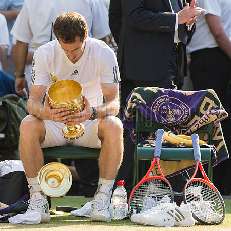 Wimbledon Tennis 07.07.2013 Day 13 2nd Sunday