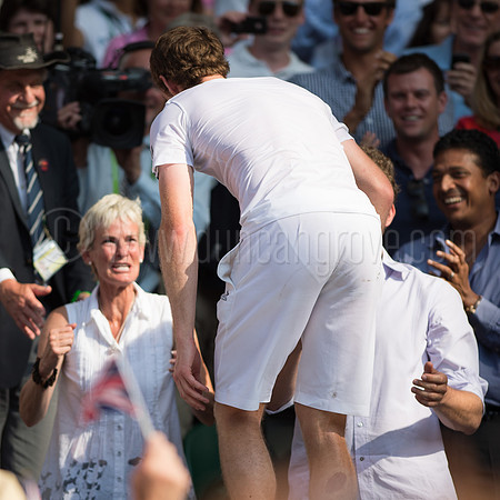 Wimbledon Tennis 07.07.2013 Day 13 2nd Sunday