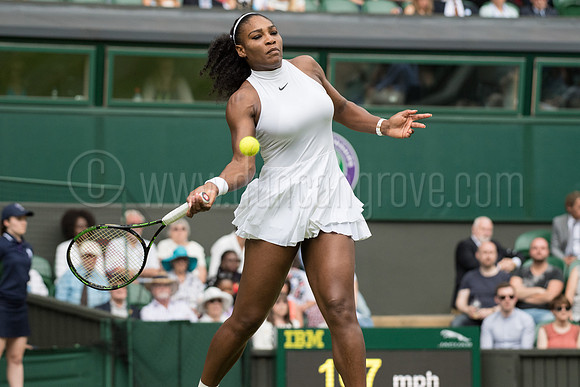 Wimbledon Tennis 04/07/2016.