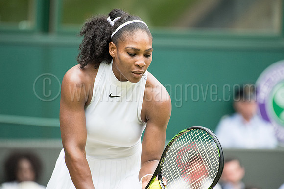 Wimbledon Tennis 04/07/2016.