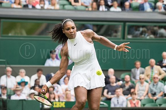 Wimbledon Tennis 04/07/2016.