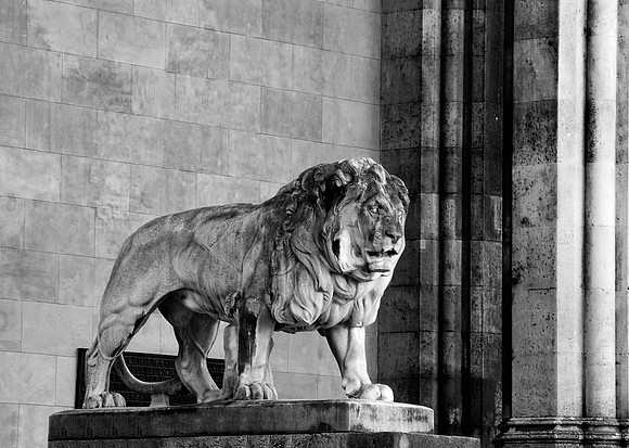 Munich Lion