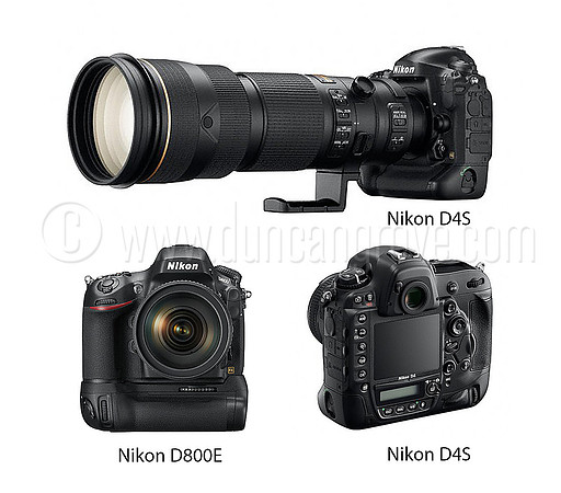 D4S long lens trio