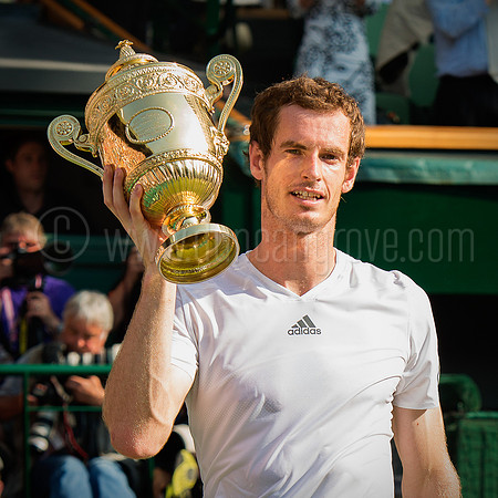 Wimbledon Tennis 07.07.2013 Day 13 2nd Sunday