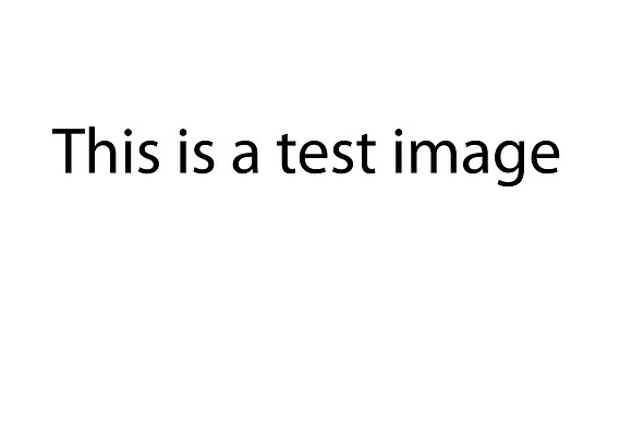 test image